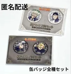 Dr.STONE 缶バッジ2個セット