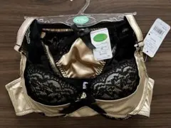 Item thumbnail for item 3a383e9d-1c89-46ed-ad46-8329effc34c3