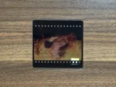 鬼滅の刃 ダイニング お楽しみくじ フィルム風クリアカード 狛治 恋雪