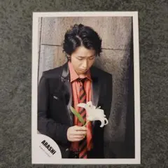 嵐 大野智 公式写真 truth 魔王時期 成瀬領 嵐 大野智 公式写真 truth 魔王時期 成瀬領 - メルカリ