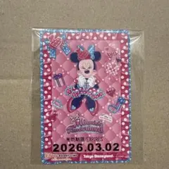 ミニーのファンダーランド　パルパルーザ　リゾートラインフリーきっぷ　期限切れ　⑥