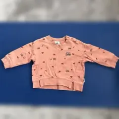 Item thumbnail for item 18fa43c2-fbb7-44f8-8efd-b08080e21506