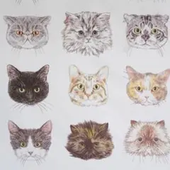 [no.4523]ラスト☆セール☆CAT FACE 110×49㌢ 生地＊