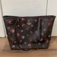 Item thumbnail for item 1d3f71e7-b2a4-4613-85ba-e0ceae49fe52