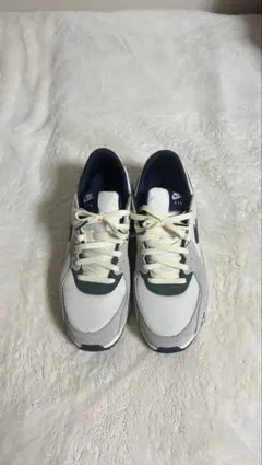 NIKE Air Max ホワイト/グレー/ネイビー
