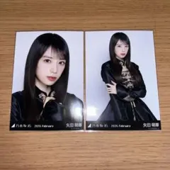 乃木坂46 矢田萌華