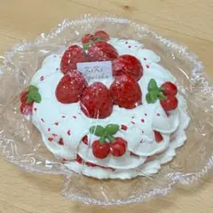 kikisquishy XLサイズ ホールケーキ 純泥 クリア袋 スクイーズのサムネイル