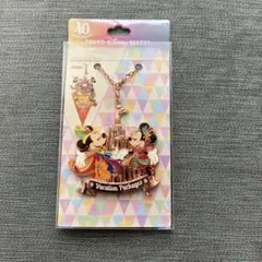 東京ディズニーリゾート バケーションパッケージ バッグチャーム 40周年