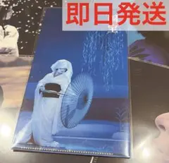 国宝 チケットホルダー 国宝展 吉沢亮 横浜流星 ファイル 鷺娘 - メルカリ