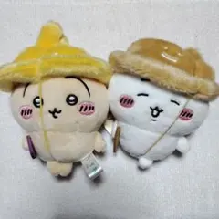 Item thumbnail for item 534d5e9b-f740-47e6-98c6-36d44d1a6d9e