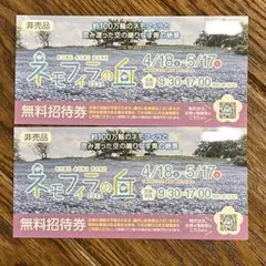 ネモフィラの丘 2026 ペア招待券