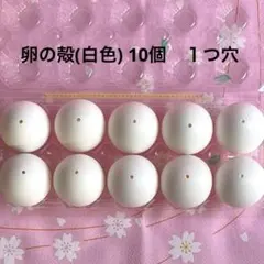 2026年最新】卵の殻の人気アイテム - メルカリ