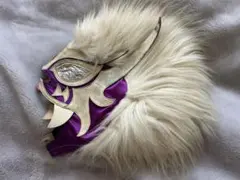 2026年最新】獅龍 プロレスの人気アイテム - メルカリ