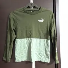 Item thumbnail for item 454fe59e-1840-4211-ad24-d39b37edef6e