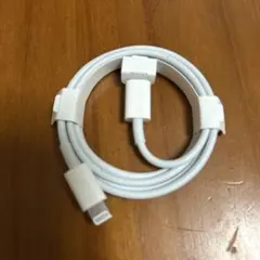 Apple純正　Lightningケーブル