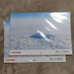 Item thumbnail for item 80f9c079-a0b8-41a6-82e0-f10d8a718b7c