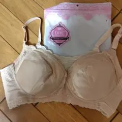 DHC ベージュブラジャー レースとメッシュ素材のサムネイル