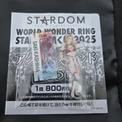 鹿島 沙希 アクリルスタンド アクスタ くじ スターダム STARDOM B