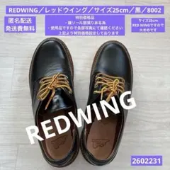 REDWING／レッドウイング／サイズ25cm／黒／8002／2602231