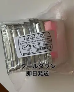 ハイキュー！！ スクエア缶バッジ 全種セット クールダウン セブンネット限定