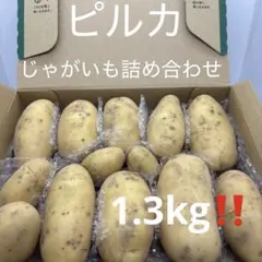 ピルカ詰め合わせセットのサムネイル