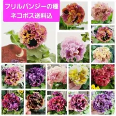 アンチャン様 リクエスト 2点 まとめ商品