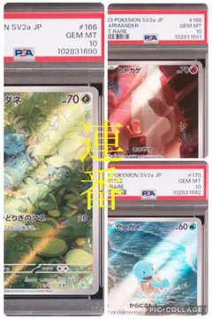 welcome! ヒトカゲ　ゼニガメ　フシギダネ　AR PSA10 連番　151