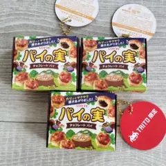 タイトー限定 ロッテ パイの実 ミニチュアキーホルダーのサムネイル
