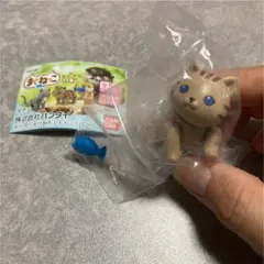 即送！【薄茶トラのぱっちり 青い魚】まぐねっこ その6