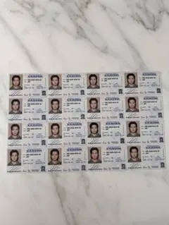 ENHYPEN THESIN：VANISH トレカ　ジェイ