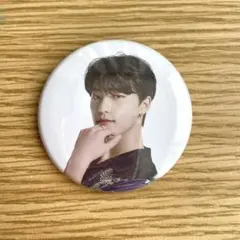 セブチカフェ 缶バッジ ディノ