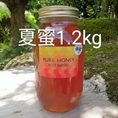 国産 はちみつ❁北海道 菩提樹❁ 900g 生蜂蜜/国産蜂蜜 - メルカリ