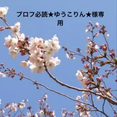 プロフ必読★ゆうこりん★様専用