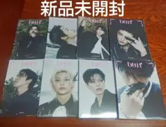 Stray kids DO IT 新品未開封 accordion ver 8種