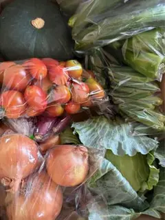 旬の新鮮野菜詰め合わせセット 農家直送60サイズのサムネイル