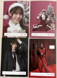 櫻坂46生写真　向井純葉　4枚まとめ売り