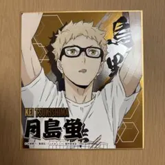 ハイキュー!! 月島蛍 ゴールドイラスト色紙