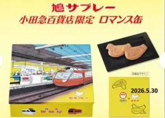 新品未開封 ロマンス缶鳩サブレー小田急百貨店50周年記念　小田急ロマンスカーのサムネイル