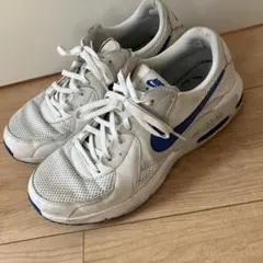 Nike Air Max ホワイト/ブルー 26.5cm