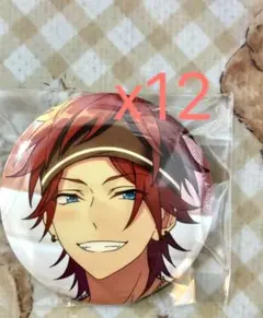 あんスタ 天城燐音 缶バッジ キャラクター缶バッジ 12個セット