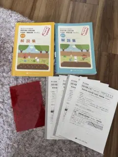 全国統一模試解答解説書3冊セット、必須対策問題集 薬ゼミ 全国統一模試 3 解答解説書 257回 - メルカリ