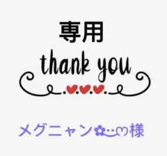 メグニャン✿·͜·ᰔ様専用