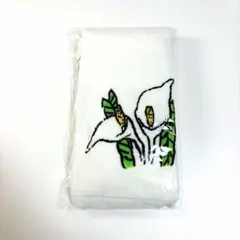 Item thumbnail for item 0fdbc65f-a444-437e-ac20-4ab60fff0f7d