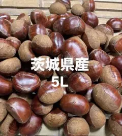 全て4cm-4.5cmの3Lサイズ 栗 5kg 岐阜 恵那地方 全て4cm-4.5cmの3Lサイズ 栗 5kg 岐阜 恵那地方 - メルカリ