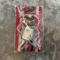 野田樹潤（juju）選手 直筆サイン入りチケットホルダー(スーパーフォーミュラ) スーパーフォーミュラ Juju（野田樹潤）選手 JUJU チケットホルダー