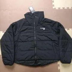 Item thumbnail for item 8f2e22e7-da32-4b92-89e7-eeba0f060e0d