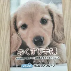 Item thumbnail for item ff964453-80ea-4526-bc3e-792cbb2bf263