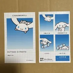 証明写真風スマロイド　シナモン　シナモロール　NG