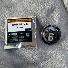 Item thumbnail for item 28ff1aad-76e2-4882-8d8f-09f5fe84d147