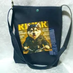 Item thumbnail for item ad9cde0e-60e8-41b1-9cb8-d045b2115535